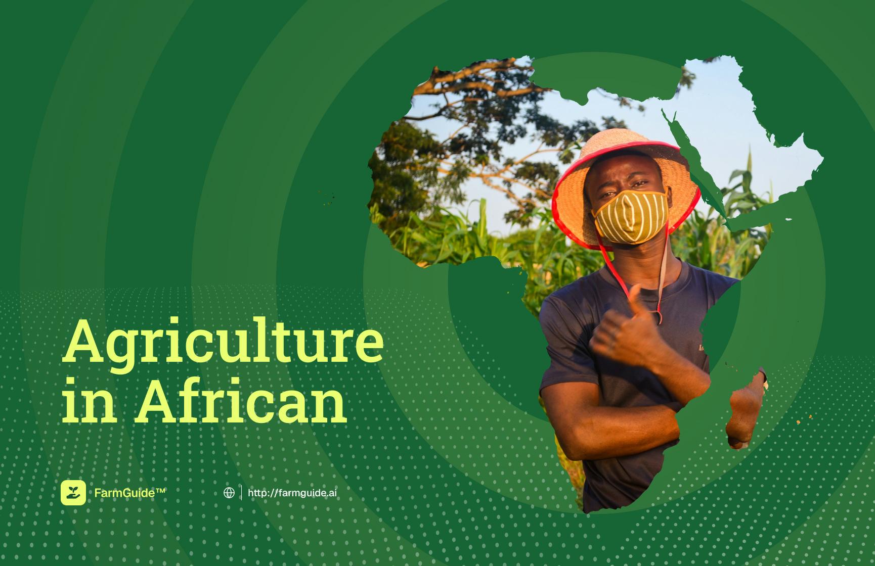 What young Africans need to succeed in agriculture