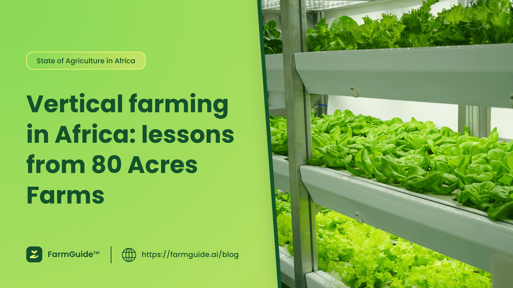 What African farmers can learn from the 80 Acres Farms shutdown